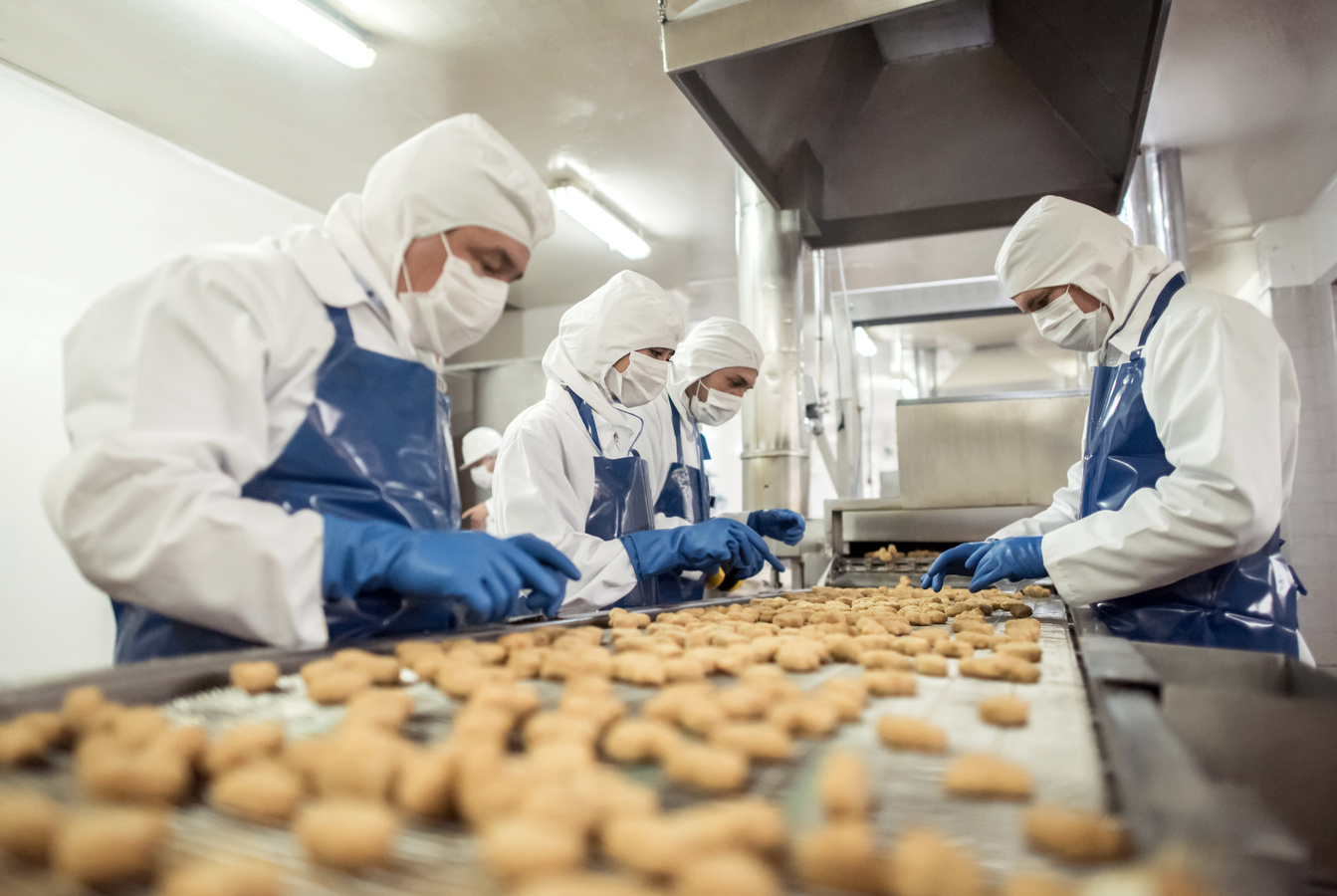 People working at a food factory
